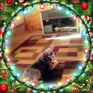 Meet your Posher, Pam